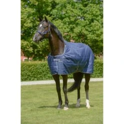 Onderdeken Bucas Quilt Silk-Feel 50gr Donkerblauw -Paardenbenodigdheden Winkel onderdeken bucas quilt silk feel 50gr donkerblauw 1500x1500 182560
