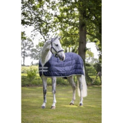 Onderdeken LeMieux Arika 200gr Donkerblauw -Paardenbenodigdheden Winkel onderdeken lemieux arika 200gr donkerblauw 1500x1500 163510