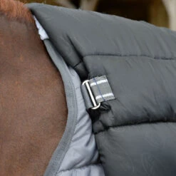 Onderdeken WeatherBeeta ComFiTec 200gr Grijs 10 Onderdeken WeatherBeeta ComFiTec 200gr Grijs -Paardenbenodigdheden Winkel onderdeken weatherbeeta comfitec 200gr grijs 1500x1500 132992