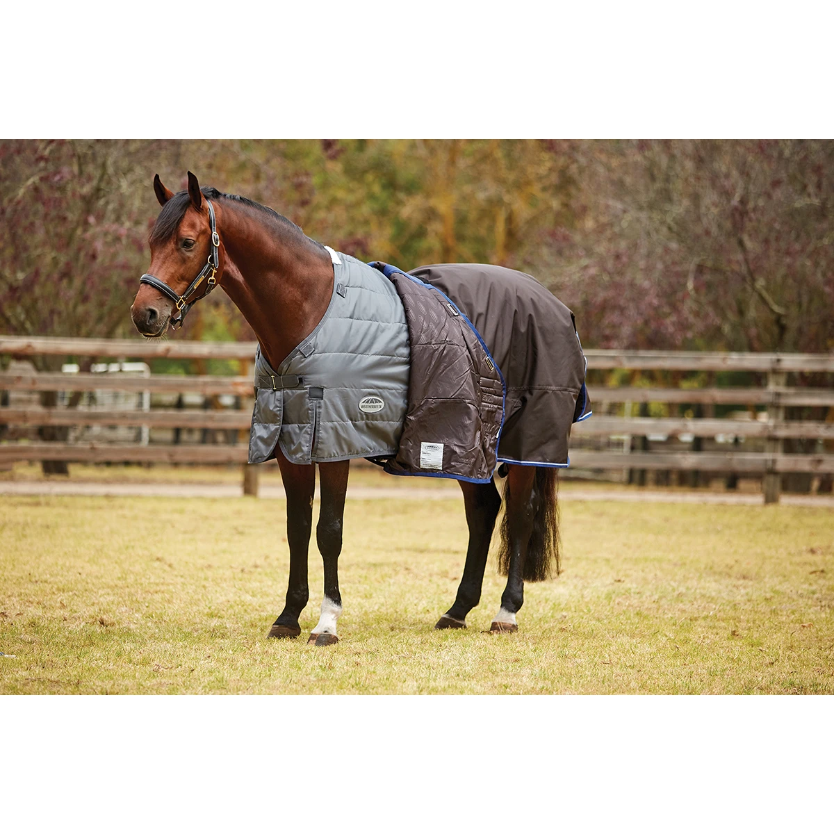 Onderdeken WeatherBeeta ComFiTec 300gr Grijs 7 Onderdeken WeatherBeeta ComFiTec 300gr Grijs - Afbeelding 5