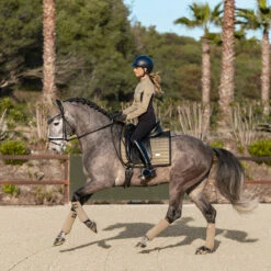 Oornetje Equestrian Stockholm Chantelle Lichtbruin -Paardenbenodigdheden Winkel oornetje equestrian stockholm chantelle lichtbruin 1500x1500 153780