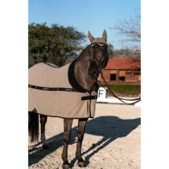 Oornetje Equestrian Stockholm Chantelle Lichtbruin -Paardenbenodigdheden Winkel oornetje equestrian stockholm chantelle lichtbruin 1500x1500 153781