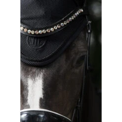 Oornetje Eskadron Essence Dyn Air Mesh Zwart -Paardenbenodigdheden Winkel oornetje eskadron essence dyn air mesh zwart 1500x1500 171529