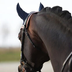 Oornetje Horsegear Aurum Donkerblauw -Paardenbenodigdheden Winkel oornetje horsegear aurum donkerblauw 1500x1500 139080