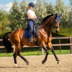 Oornetje PresTeq PerformNow Donkerblauw -Paardenbenodigdheden Winkel oornetje presteq performnow donkerblauw 1500x1500 184077