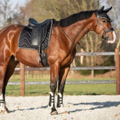 Peesbeschermers QHP Menton Zwart 8 Peesbeschermers QHP Menton Zwart -Paardenbenodigdheden Winkel peesbeschermers qhp menton zwart 1500x1500 186858