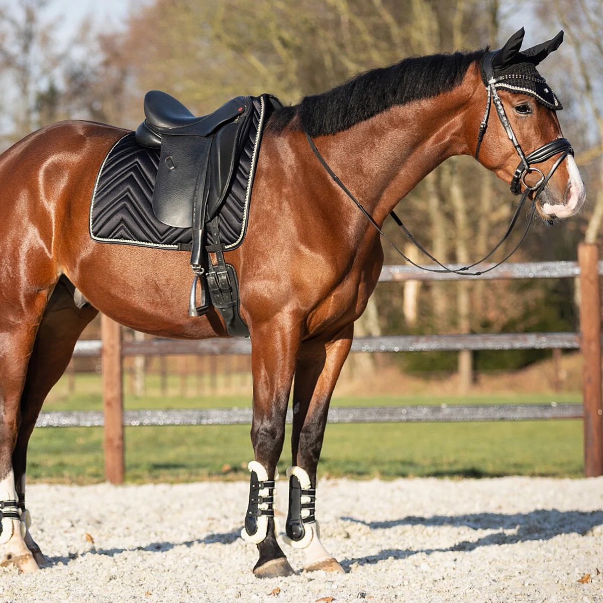 Peesbeschermers QHP Menton Zwart 5 Peesbeschermers QHP Menton Zwart - Afbeelding 4