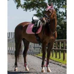 Peesbeschermers QHP Roze 7 Peesbeschermers QHP Roze -Paardenbenodigdheden Winkel peesbeschermers qhp roze 1500x1500 112215