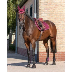 Peesbeschermerset QHP Donkerrood -Paardenbenodigdheden Winkel peesbeschermerset qhp donkerrood 1500x1500 128274