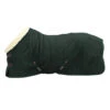 Showdeken Kentucky 160gr Donkergroen -Paardenbenodigdheden Winkel showdeken kentucky 160gr donkergroen 1500x1500 137744