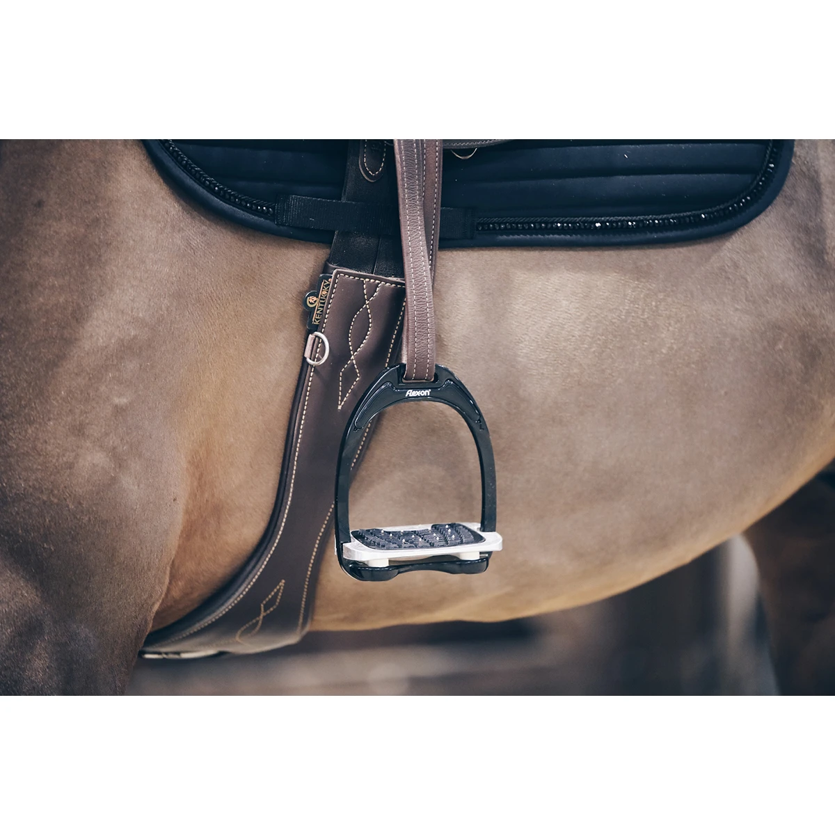 Singel Kentucky Anatomisch Bruin 4 Singel Kentucky Anatomisch Bruin - Afbeelding 2