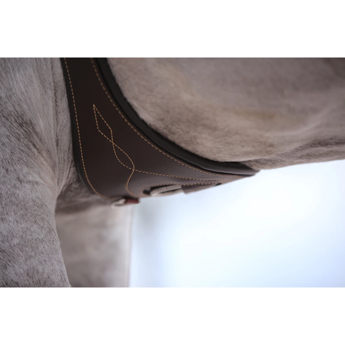 Singel Kentucky Anatomisch Bruin 5 Singel Kentucky Anatomisch Bruin - Afbeelding 3