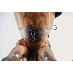 Singel Kentucky Anatomisch Bruin 11 Singel Kentucky Anatomisch Bruin -Paardenbenodigdheden Winkel singel kentucky anatomisch bruin 1500x1500 137515