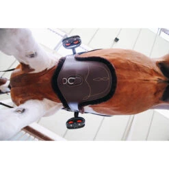 Singel Kentucky Sheepskin Met Buikflap Bruin 9 Singel Kentucky Sheepskin Met Buikflap Bruin -Paardenbenodigdheden Winkel singel kentucky sheepskin met buikflap bruin 1500x1500 137506