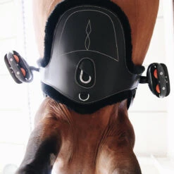 Singel Kentucky Sheepskin Met Buikflap Zwart -Paardenbenodigdheden Winkel singel kentucky sheepskin met buikflap zwart 1500x1500 137502