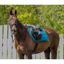 Singel QHP Anatomical Zwart -Paardenbenodigdheden Winkel singel qhp anatomical zwart 1500x1500 117366