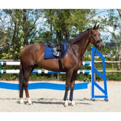 Singel QHP Anatomical Zwart -Paardenbenodigdheden Winkel singel qhp anatomical zwart 1500x1500 117367