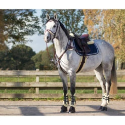 Singel QHP Ontario Bruin -Paardenbenodigdheden Winkel singel qhp ontario bruin 1500x1500 120572