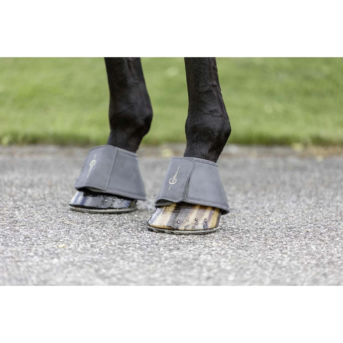 Springschoenen Covalliero Grijs 4 Springschoenen Covalliero Grijs - Afbeelding 2