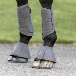 Springschoenen Covalliero Grijs 11 Springschoenen Covalliero Grijs -Paardenbenodigdheden Winkel springschoenen covalliero grijs 1500x1500 176135