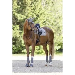 Springschoenen Covalliero Grijs 12 Springschoenen Covalliero Grijs -Paardenbenodigdheden Winkel springschoenen covalliero grijs 1500x1500 176136