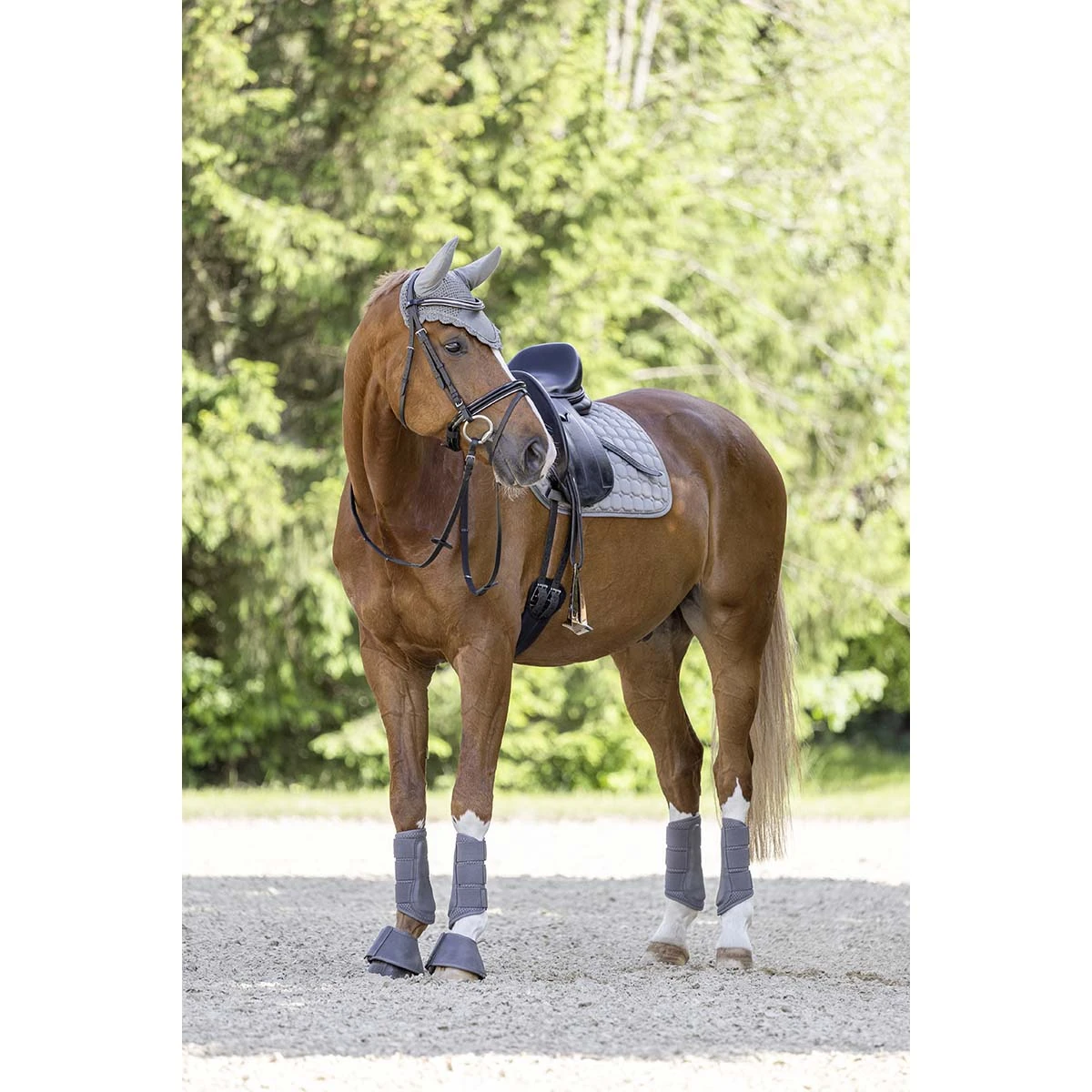 Springschoenen Covalliero Grijs 7 Springschoenen Covalliero Grijs - Afbeelding 5