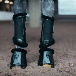 Springschoenen Equestrian Stockholm Deep Olivine Donkergroen -Paardenbenodigdheden Winkel springschoenen equestrian stockholm deep olivine donkergroen 1500x1500 151034