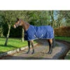 Staldeken Bucas Freedom 150gr Donkerblauw -Paardenbenodigdheden Winkel staldeken bucas freedom 150gr donkerblauw 1500x1500 169929