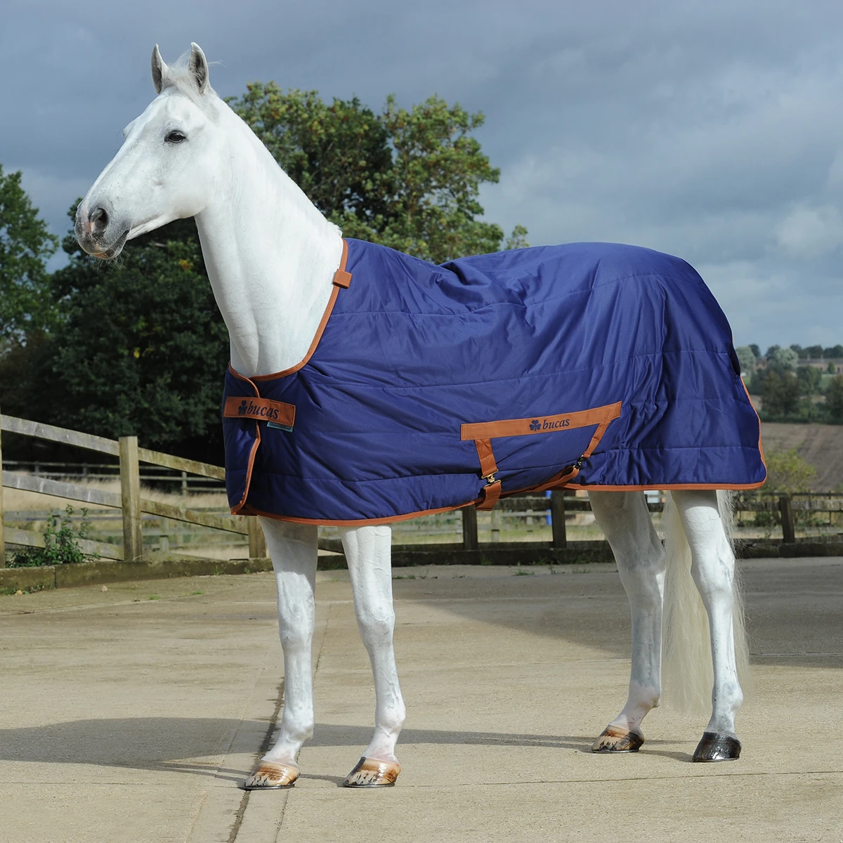 Staldeken Bucas Shamrock Quilt 150gr Donkerblauw 4 Staldeken Bucas Shamrock Quilt 150gr Donkerblauw - Afbeelding 2