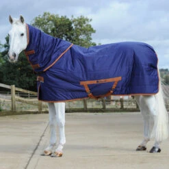 Staldeken Bucas Shamrock Quilt 150gr Donkerblauw 7 Staldeken Bucas Shamrock Quilt 150gr Donkerblauw -Paardenbenodigdheden Winkel staldeken bucas shamrock quilt 150gr donkerblauw 1500x1500 157971