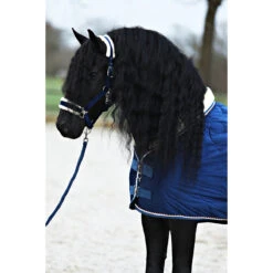 Staldeken Friesian Horse By Horsegear 160gr Donkerblauw 17 Staldeken Friesian Horse By Horsegear 160gr Donkerblauw -Paardenbenodigdheden Winkel staldeken friesian horse by horsegear 160gr donkerblauw 1500x1500 173333