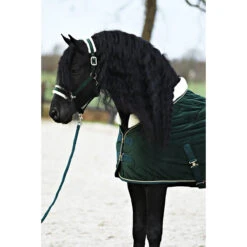 Staldeken Friesian Horse By Horsegear 160gr Donkergroen -Paardenbenodigdheden Winkel staldeken friesian horse by horsegear 160gr donkergroen 1500x1500 173362