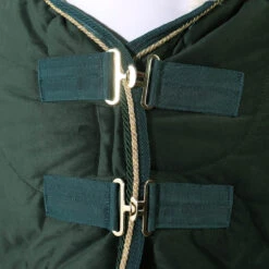 Staldeken Friesian Horse By Horsegear 160gr Donkergroen -Paardenbenodigdheden Winkel staldeken friesian horse by horsegear 160gr donkergroen 1500x1500 173364