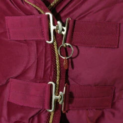 Staldeken Friesian Horse By Horsegear 160gr Donkerrood 13 Staldeken Friesian Horse By Horsegear 160gr Donkerrood -Paardenbenodigdheden Winkel staldeken friesian horse by horsegear 160gr donkerrood 1500x1500 173354