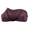 Staldeken Imperial Riding IRHSuper-Dry 200gr Donkerrood -Paardenbenodigdheden Winkel staldeken imperial riding irhsuper dry 200gr donkerrood 1500x1500 146443