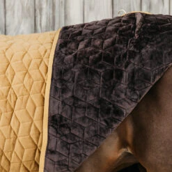 Staldeken Kentucky Velvet 160gr Donkergeel -Paardenbenodigdheden Winkel staldeken kentucky velvet 160gr donkergeel 1500x1500 139902