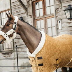 Staldeken Kentucky Velvet 160gr Donkergeel -Paardenbenodigdheden Winkel staldeken kentucky velvet 160gr donkergeel 1500x1500 139904