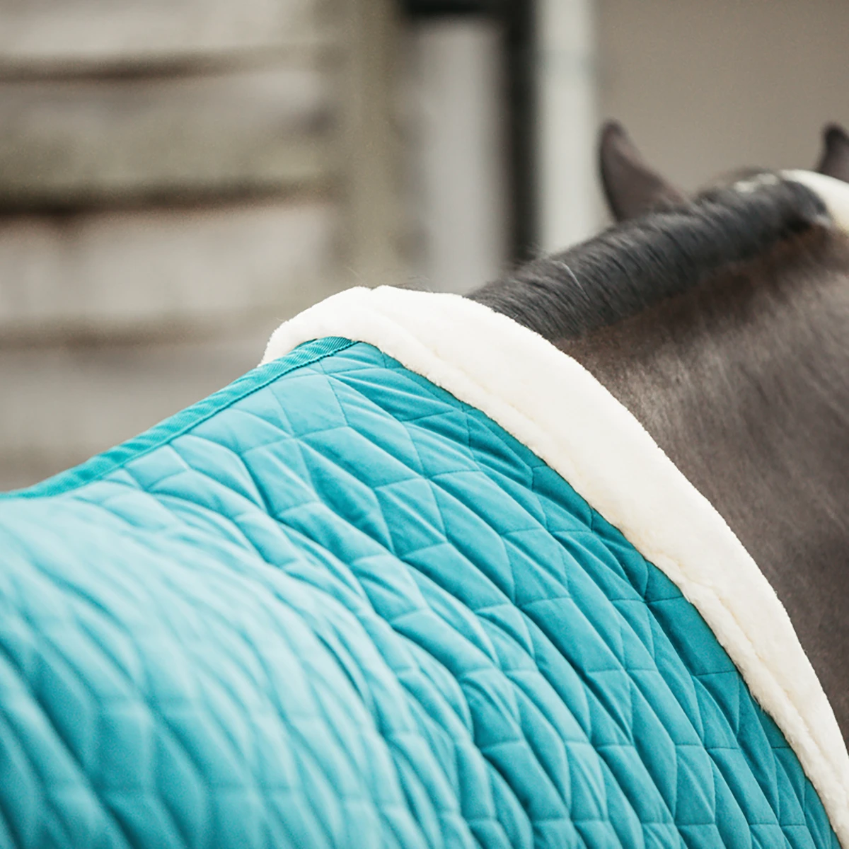 Staldeken Kentucky Velvet 160gr Groen 5 Staldeken Kentucky Velvet 160gr Groen - Afbeelding 3