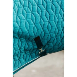 Staldeken Kentucky Velvet 160gr Groen 13 Staldeken Kentucky Velvet 160gr Groen -Paardenbenodigdheden Winkel staldeken kentucky velvet 160gr groen 1500x1500 139908