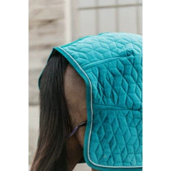 Staldeken Kentucky Velvet 160gr Groen 14 Staldeken Kentucky Velvet 160gr Groen -Paardenbenodigdheden Winkel staldeken kentucky velvet 160gr groen 1500x1500 139909