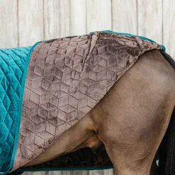 Staldeken Kentucky Velvet 160gr Groen 15 Staldeken Kentucky Velvet 160gr Groen -Paardenbenodigdheden Winkel staldeken kentucky velvet 160gr groen 1500x1500 139910