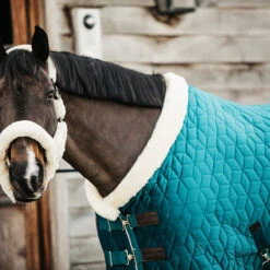 Staldeken Kentucky Velvet 160gr Groen 16 Staldeken Kentucky Velvet 160gr Groen -Paardenbenodigdheden Winkel staldeken kentucky velvet 160gr groen 1500x1500 139911
