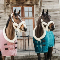 Staldeken Kentucky Velvet 160gr Groen 17 Staldeken Kentucky Velvet 160gr Groen -Paardenbenodigdheden Winkel staldeken kentucky velvet 160gr groen 1500x1500 139912
