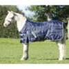 Staldeken QHP Falabella 200gr Donkerblauw 2 Staldeken QHP Falabella 200gr Donkerblauw -Paardenbenodigdheden Winkel staldeken qhp falabella 200gr donkerblauw 1500x1500 130852