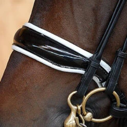 Stang En Trens Dy'on DRC Lak Zwart-wit -Paardenbenodigdheden Winkel stang en trens dy on drc lak zwart wit 1500x1500 101429