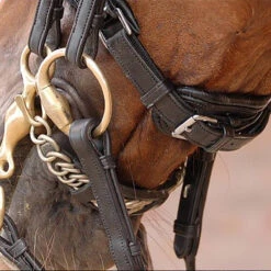 Stang En Trens Dy'on DRC Lak Zwart-wit -Paardenbenodigdheden Winkel stang en trens dy on drc lak zwart wit 1500x1500 101430