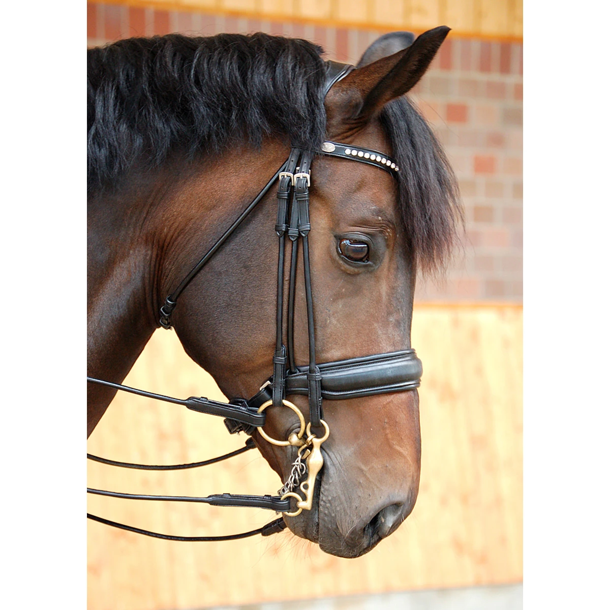 Stang En Trens Dy'on DRC Mat Black-black 6 Stang En Trens Dy'on DRC Mat Black-black - Afbeelding 4