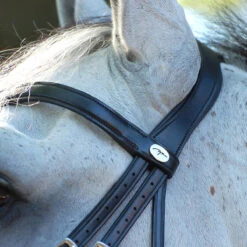 Stang En Trens Dy'on Working Collection Mat Zwart -Paardenbenodigdheden Winkel stang en trens dy on working collection mat zwart 1500x1500 141610