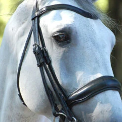 Stang En Trens Dy'on Working Collection Mat Zwart -Paardenbenodigdheden Winkel stang en trens dy on working collection mat zwart 1500x1500 141612