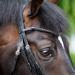 Stang En Trens HB Showtime Special For You Black-black -Paardenbenodigdheden Winkel stang en trens hb showtime special for you black black 1500x1500 181566